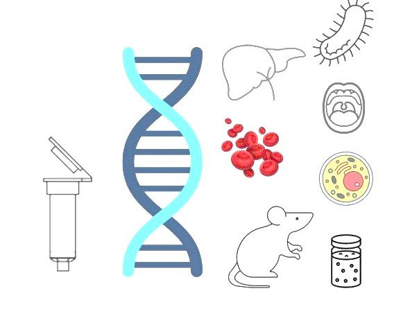 Figure 1. Wide types of Genomic DNA. (Creative Biolabs)