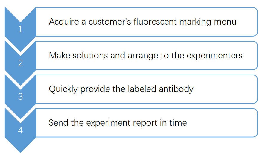 Workflow of Our Service